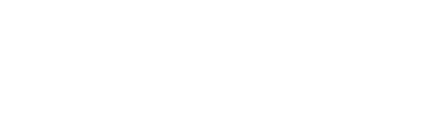 Atelier Nature Hirondelles